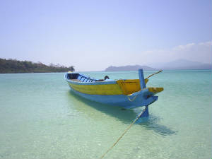 dingi_motorboat_andamns_s4013426.jpg