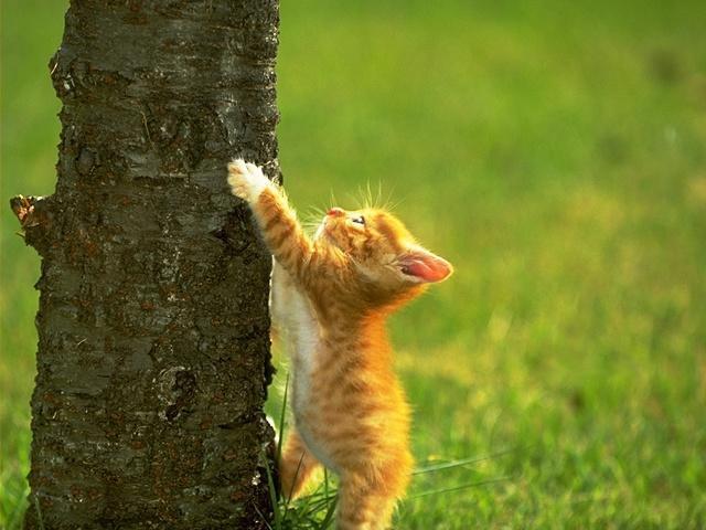 yes u can do it