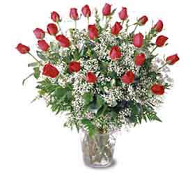 About Flowers