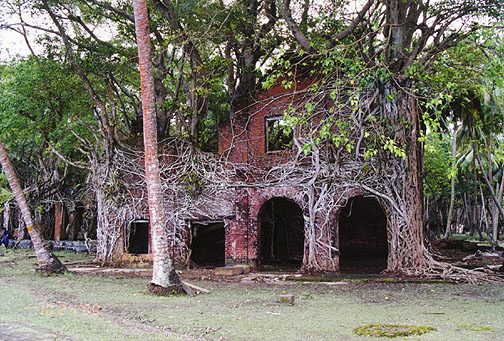 Ross island